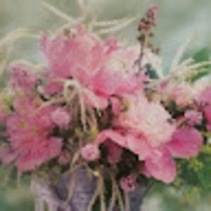 Meet your Posher, Jenn